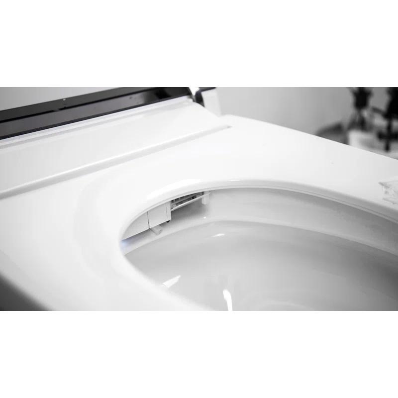 VIBRANTBATH 1.1 Gallons GPF Elongated Bidet Toilet (Seat Included)