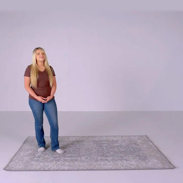 Birch Lane™ Oriental Indoor Rug