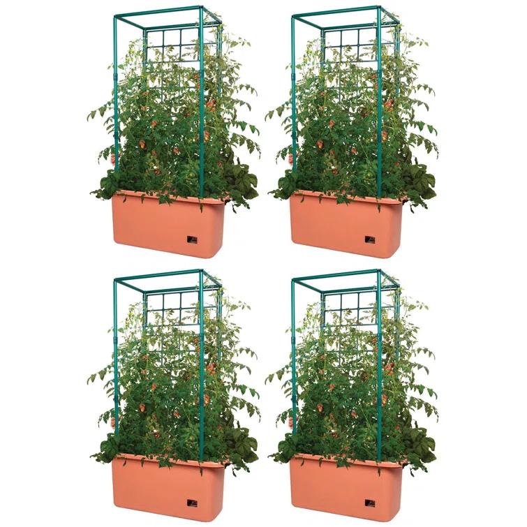 Hydrofarm Hydrofarm Accessory Fruits / Vegetables (Set of 4)