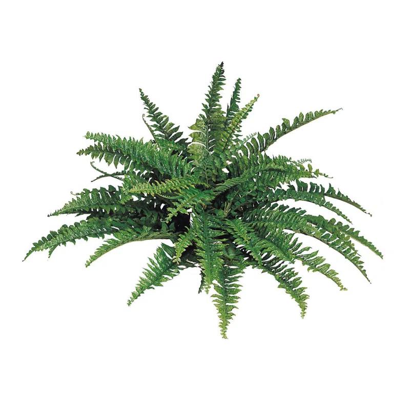 Realistic Faux Green Fern Plant