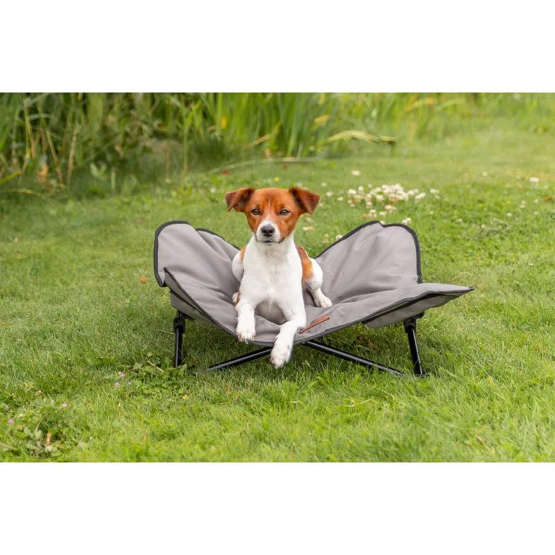 TRIXIE TRIXIE Camping Cot for Dogs, Elevated Dog Bed, Folding Padded Pet Bed, Raised Travel Lounger for Dogs