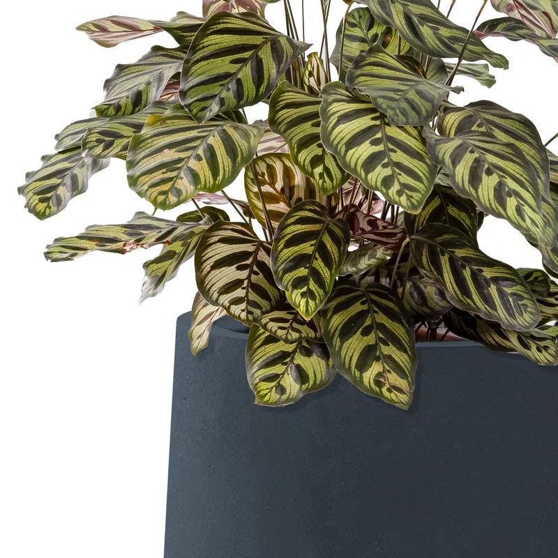 Kante Kante Round Concrete Planters, Outdoor Indoor Pots Containers with Drainage Holes Set