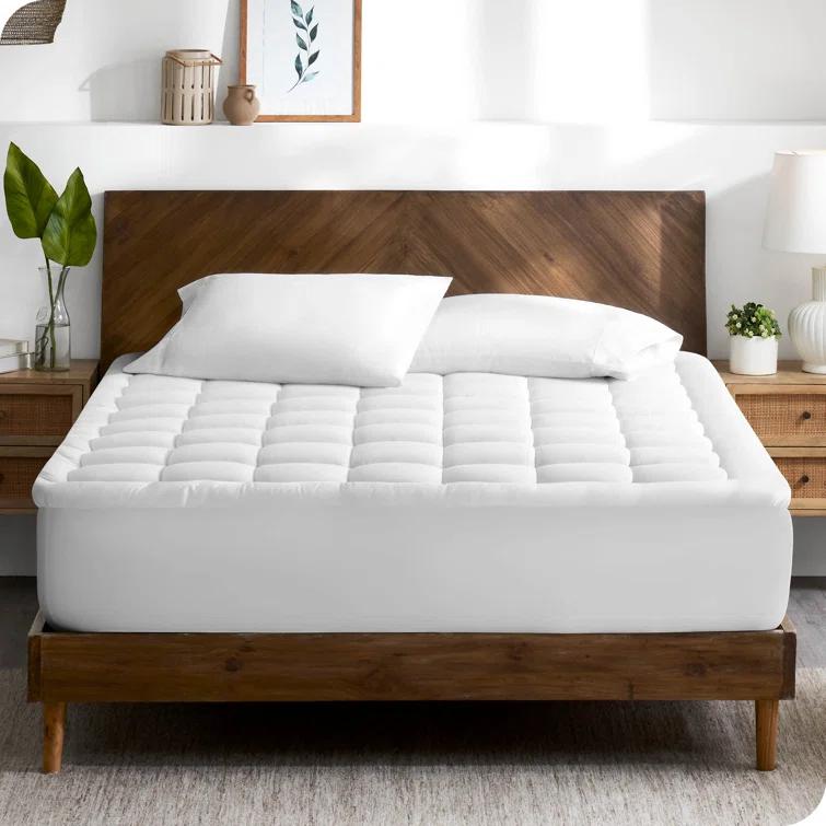 Bare Home Cotton Top Mattress Pad & Reviews | Wayfair