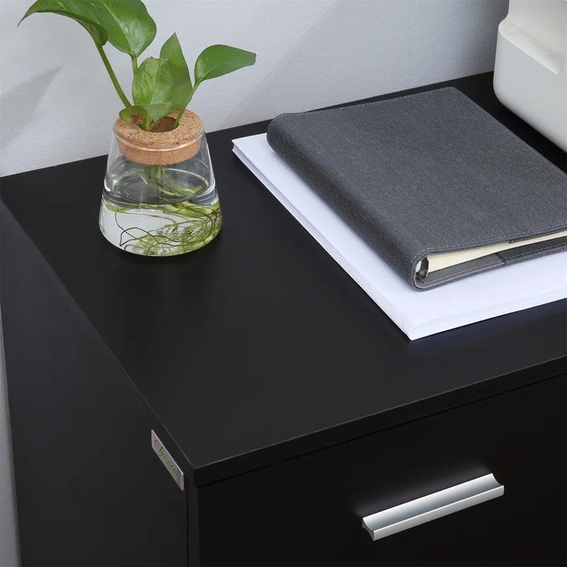 Latitude Run® Multifunction Office Filing Cabinet With 2 Drawers And 2 Shelves In Black