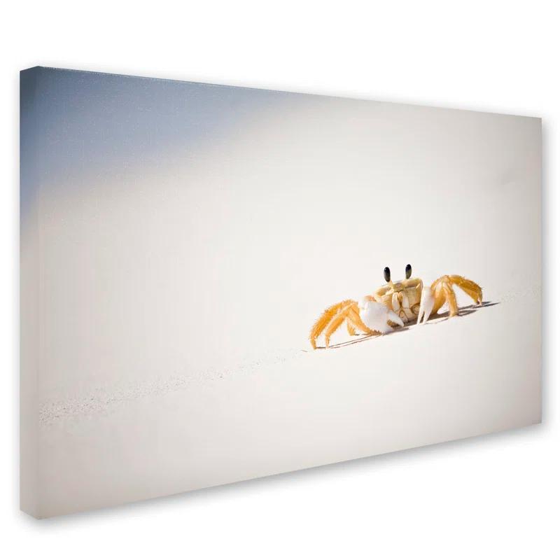 Trademark Fine Art Jason Shaffer " Ghost Crab 7 " by Yale Gurney