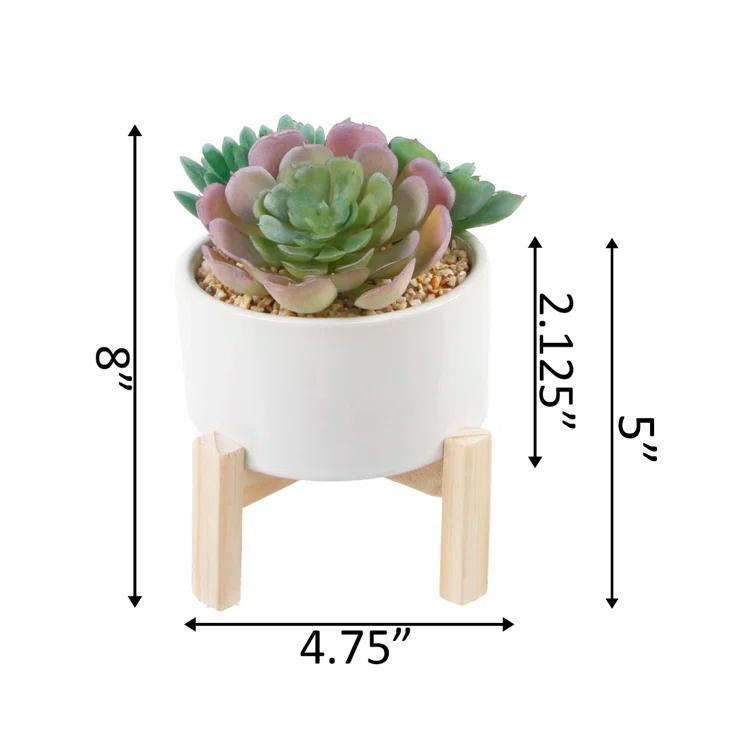 Primrue 5.5'' Faux Succulent Plant in Ceramic Pot