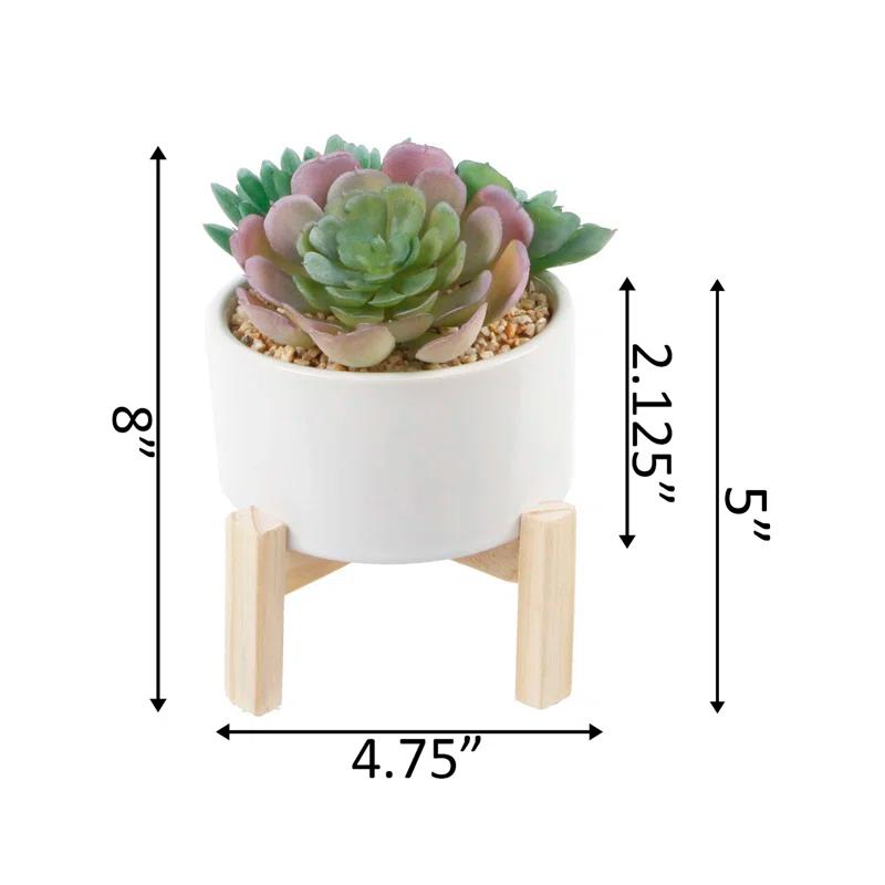 Primrue 5.5'' Faux Succulent Plant in Ceramic Pot