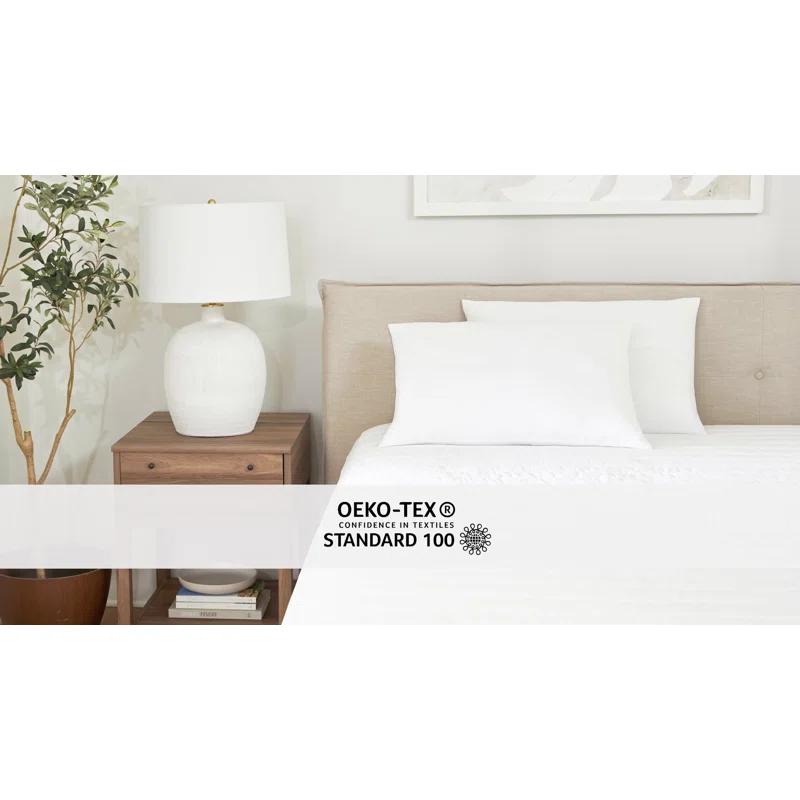 Wayfair Sleep™ 2-Pack Plush Bed Pillows Set
