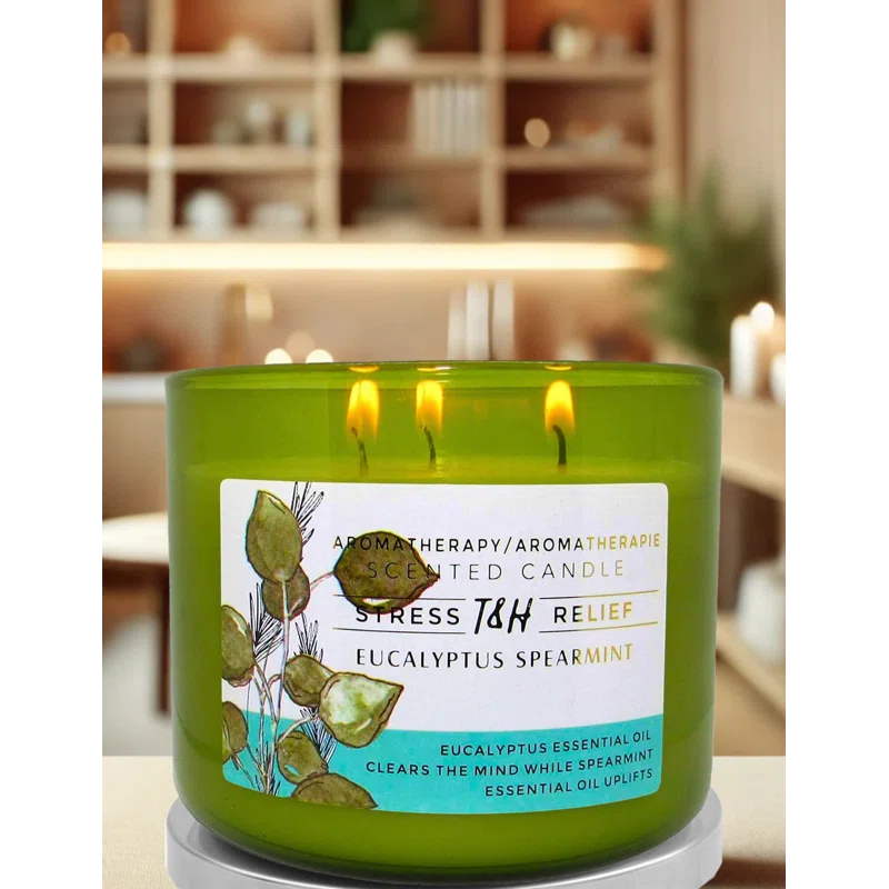 T&H Wholesalers Eucalyptus Spearmint Scented Soy Candle 3 Wick Aromatherapy Candle for Women and Men