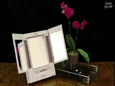 Symple Stuff Washington Mews TriFold Lighted Tabletop Makeup Mirror, Plug In