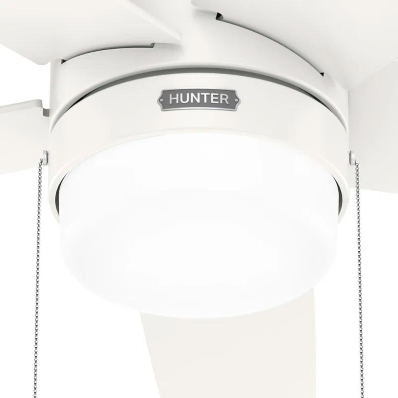 Hunter Fan Bardot 52" 5 - Blade Ceiling Fan With Lights and Pull Chains