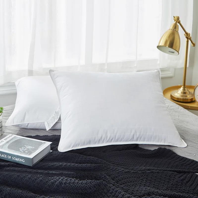 Alwyn Home Down Blend Plush Pillow (Set of 2)