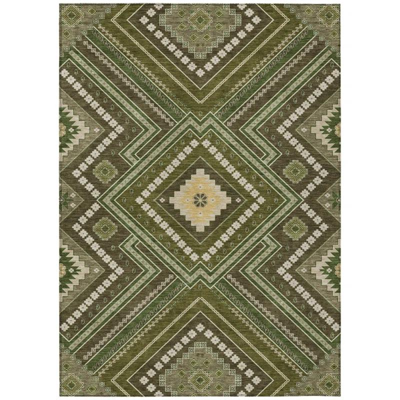 Machine Washable Indoor/Outdoor Chayden ACN1010 Rug