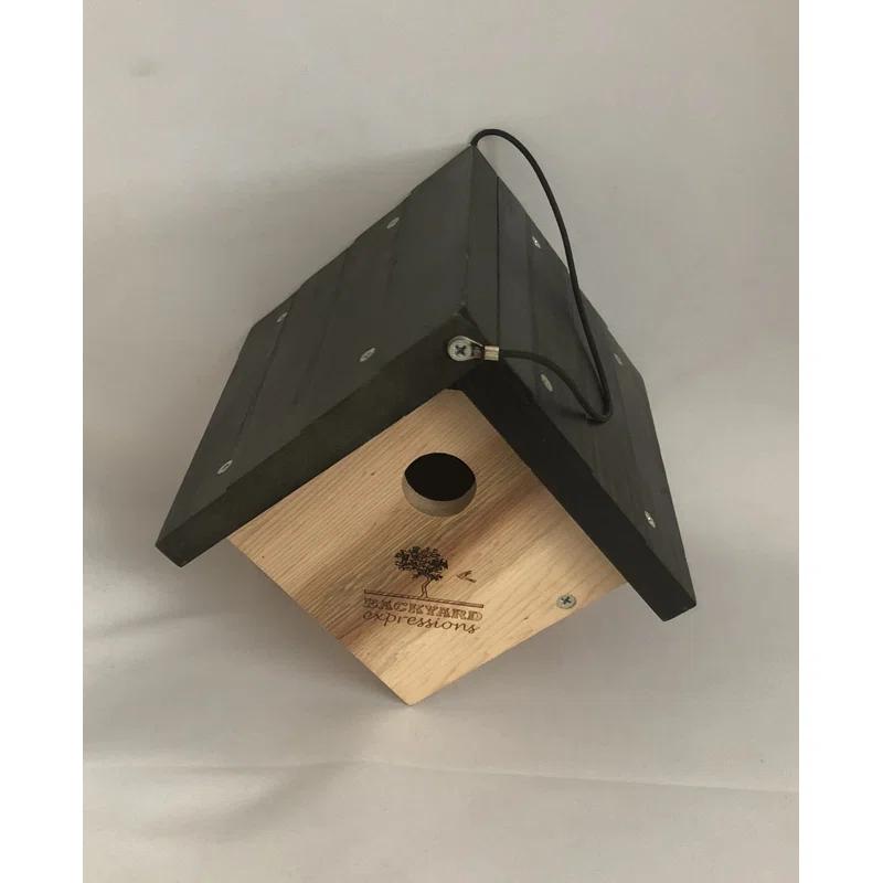 Backyard Expressions 8.1'' H x 8.1'' W x 8.9'' D Hanging Birdhouse