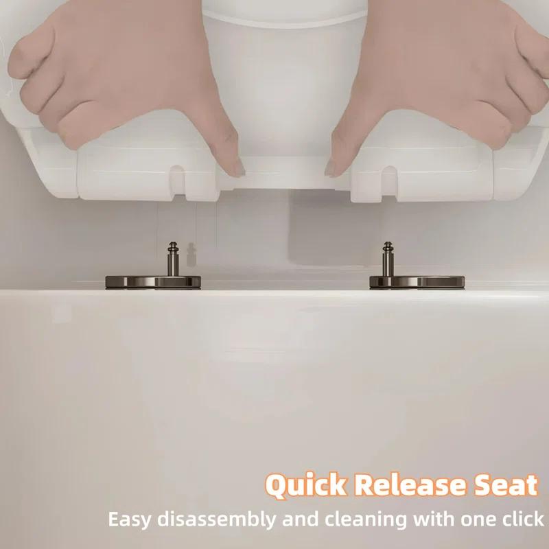 Momei 1.6 GPF Dual-Flush Toilet Modern Elongated One-Piece Toilet (Seat Included)