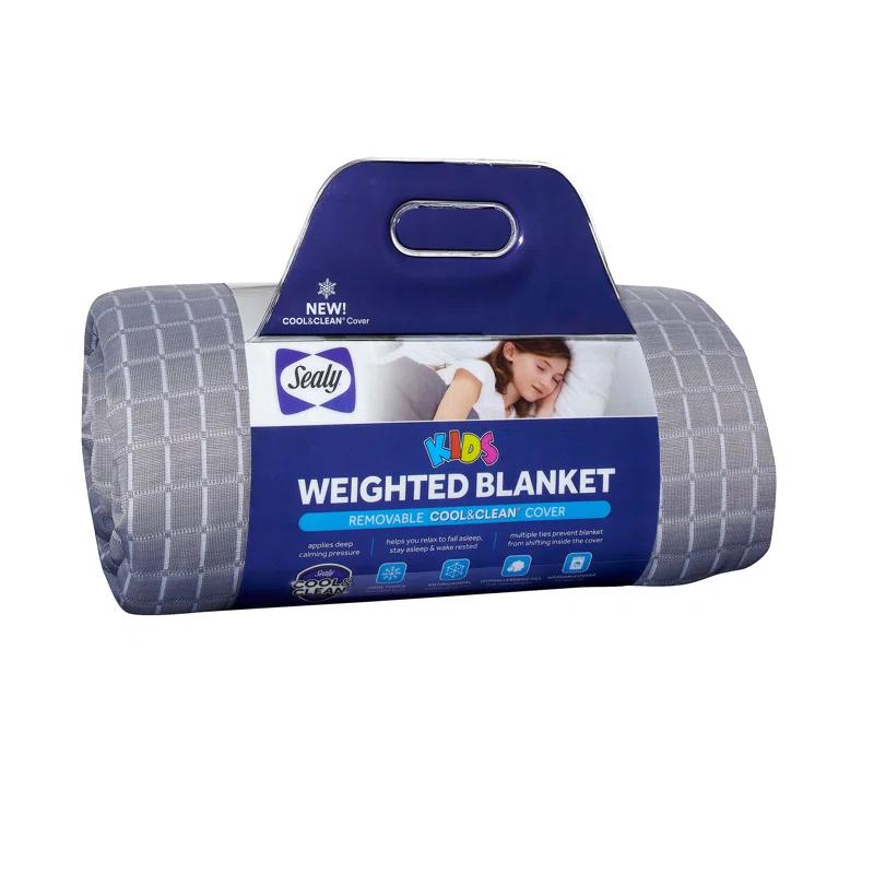 Sealy Sealy Weighted Blanket