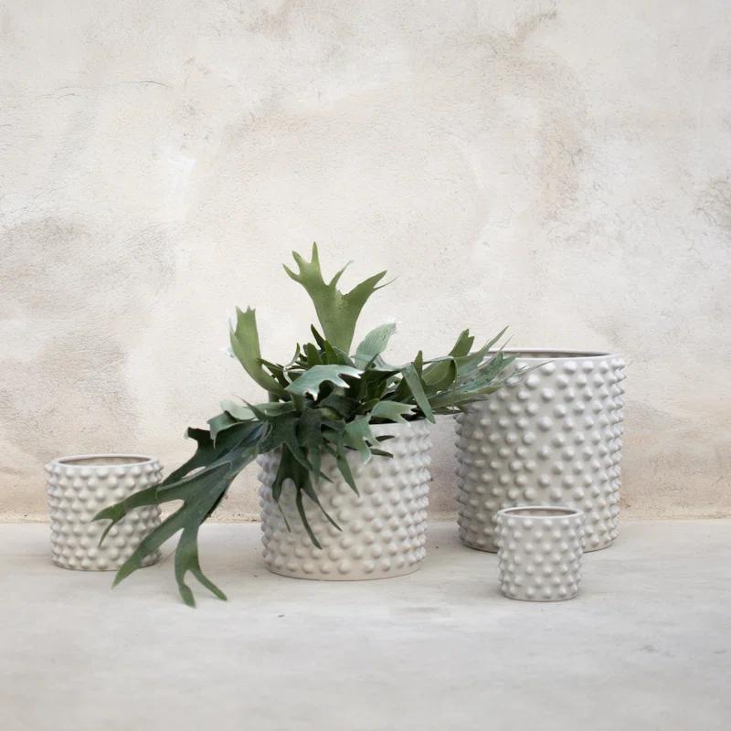 Cloudy Ceramic Pot Planter