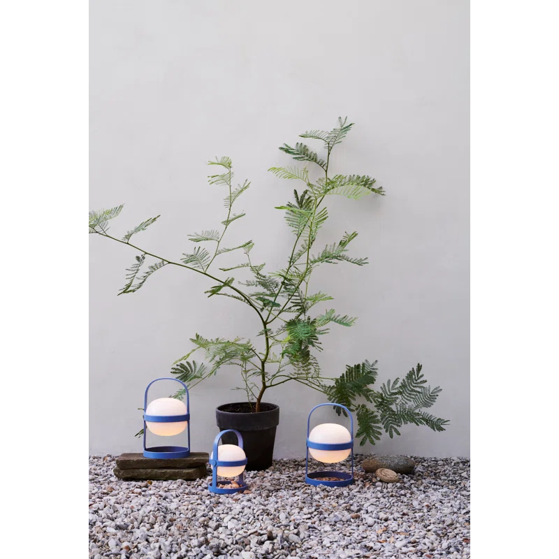 Soft Spot Solar Circular Wheat