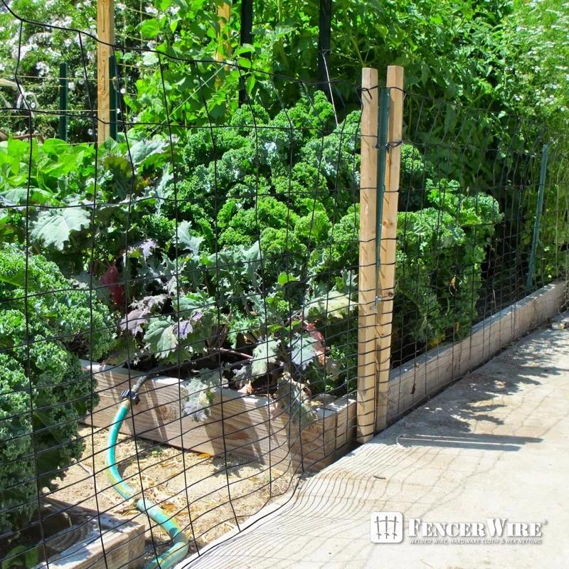 Fencer Wire Fencer Wire Vinyl Coated 16 Gauge Rabbit Guard Fence, Poultry Outdoor Fencing Barrier Wire Roll