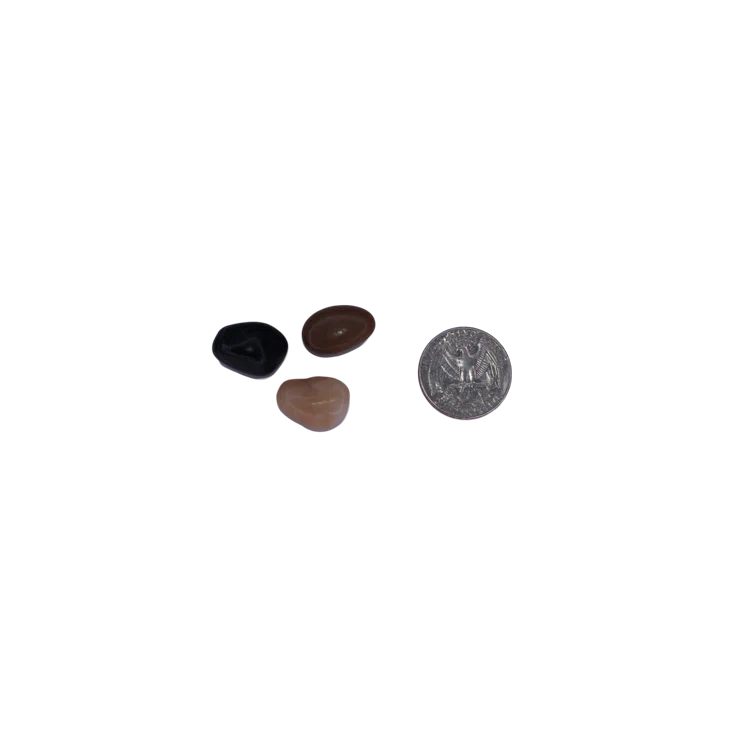 Exotic Pebbles & Glass Landscape & Nature Vase Filler