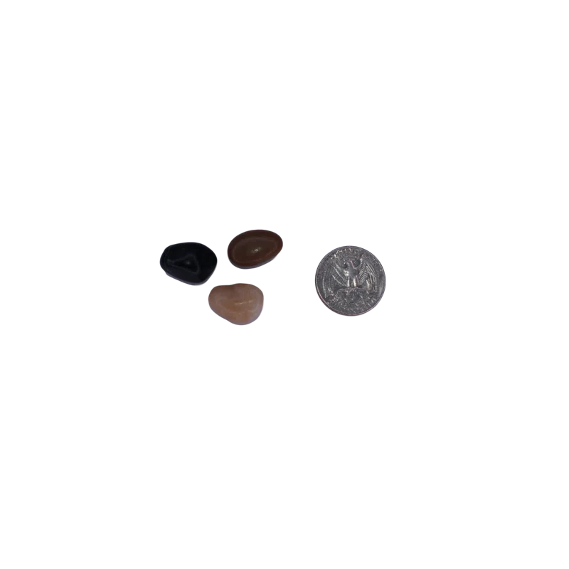 Exotic Pebbles & Glass Landscape & Nature Vase Filler