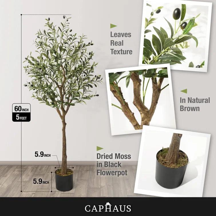 CAPHAUS CAPHAUS Artificial Olive Tree with Fruit, Fake Potted Topiary Tree with Dried Moss, 5 / 6 / 7 Feet