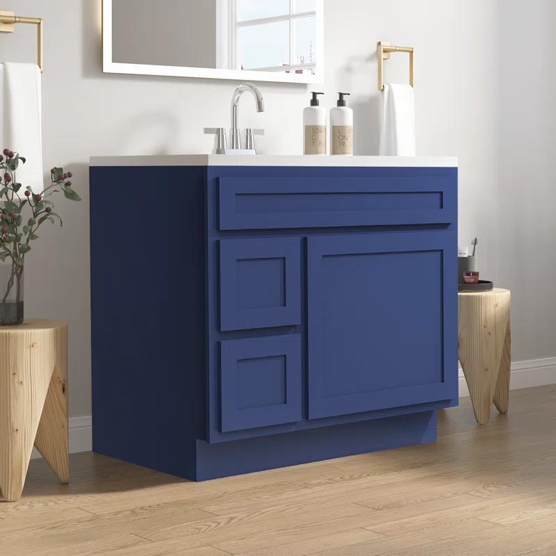Vanity Art 36 Inch Single Shutter Door Bathroom Vanity Base Cabinet with 2 Functioning Shaker Drawers, Strudy Floor Mount Storage Cabinet Organizer for Bedroom, Living Room, Kitchen, VA4036-2LBLUE