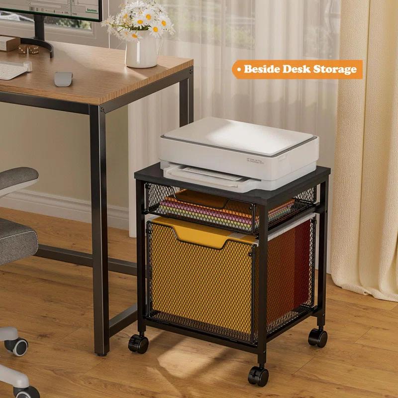 Rolling File Cabinet Cart,Printer Stand with 2 Drawers,Mobile Filing Cabinet on Lockable Wheels