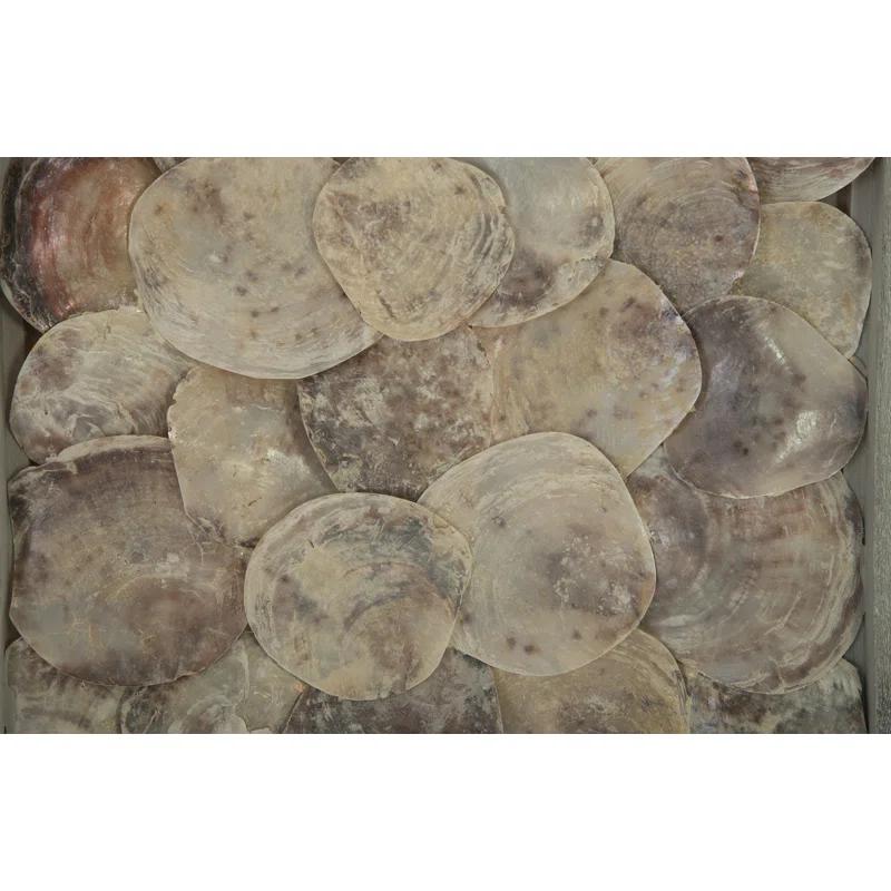 Phillips Collection Dimensional Shell Wall Décor