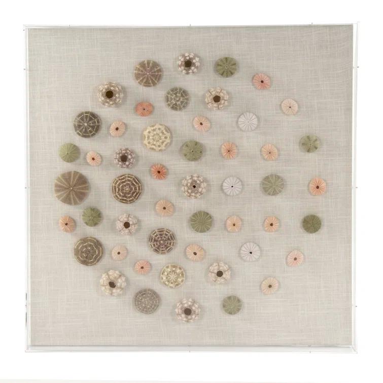 Handmade Coastal Shells Acrylic Shadowbox Wall Art