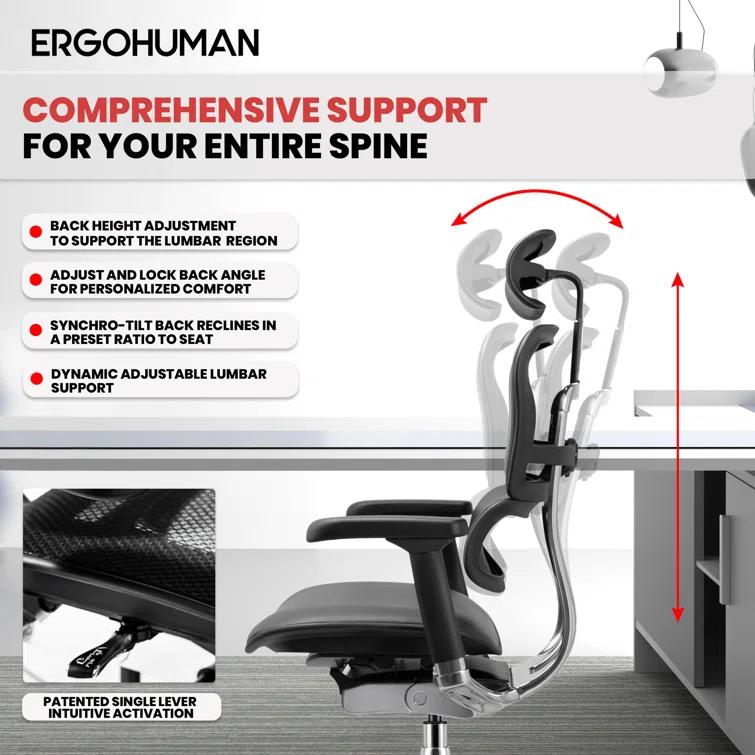 Eurotech Seating Ergohuman Executive Chair with Headrest