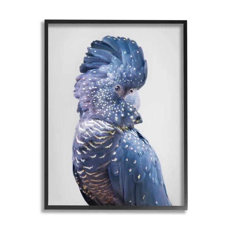 Stupell Industries " Gray Cockatoo Portrait " by Sisi And Seb