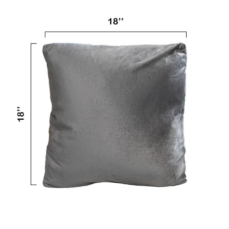 Throw Pillow (Set of 2)