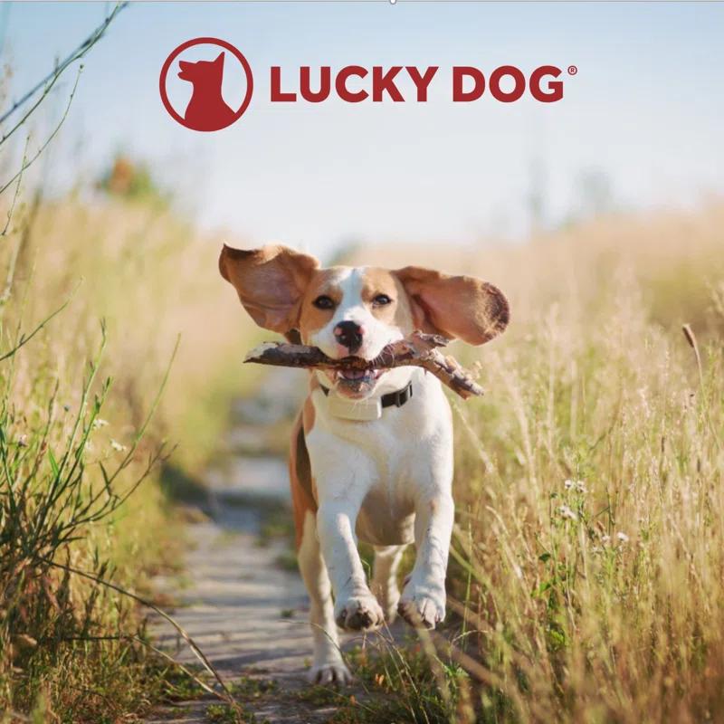 Lucky Dog Lucky Dog Uptown Yard Kennel