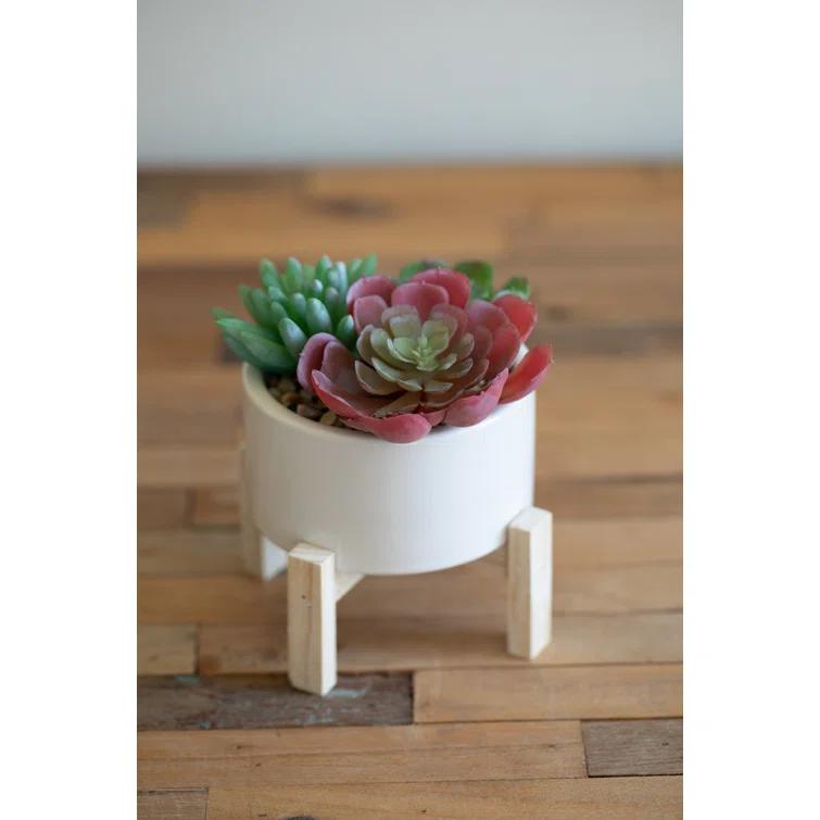 Primrue 5.5'' Faux Succulent Plant in Ceramic Pot