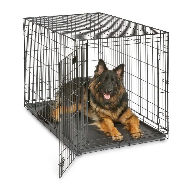Midwest Homes For Pets MidWest Homes for Pets Newly Enhanced Single Door iCrate Dog Crate Includes Divider Panel