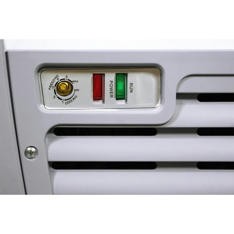 Ancaster Food Equipment 5.6 Cubic Feet Frost-Free Chest Freezer with Adjustable Temperature Controls XS-160YX