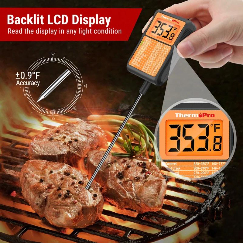 ThermoPro Thermometer | Wayfair