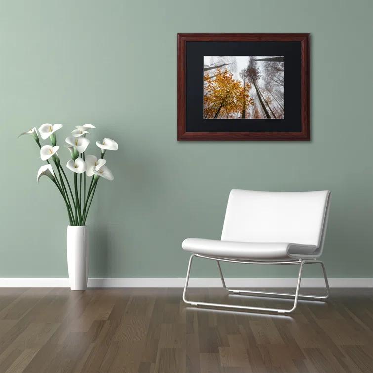 Trademark Fine Art " Daydreamer " by Philippe Sainte-Laudy