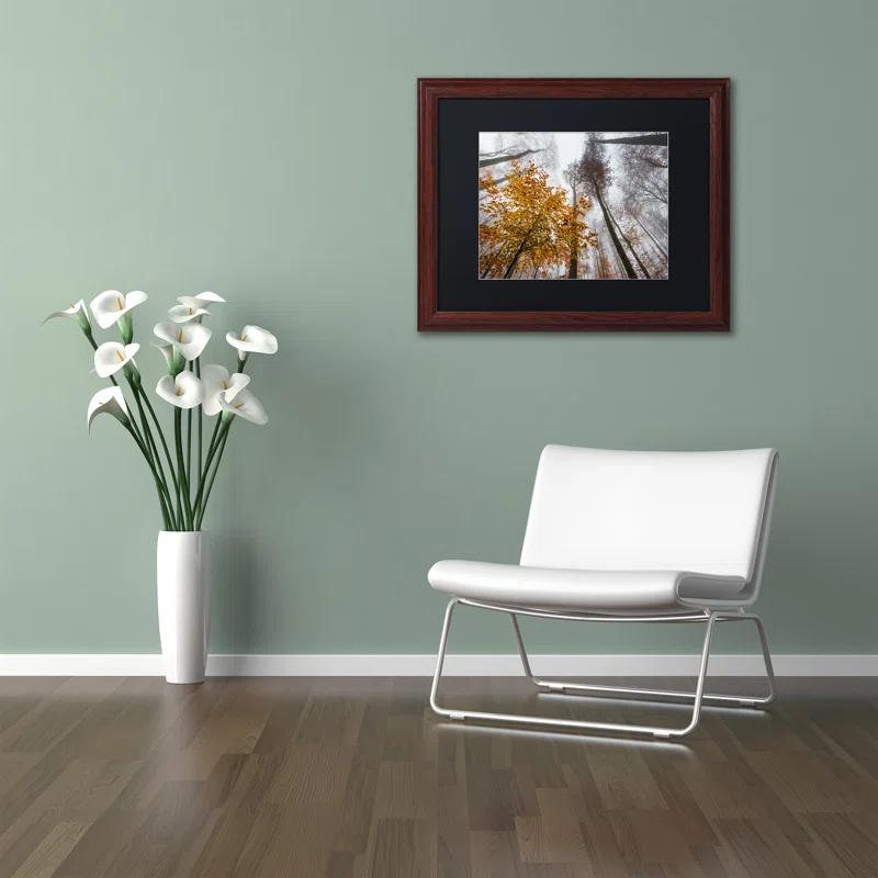 Trademark Fine Art " Daydreamer " by Philippe Sainte-Laudy