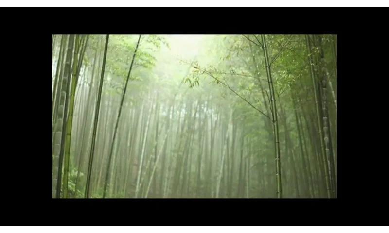 Tommy Bahama Home Royal Kahala Suite Dresser