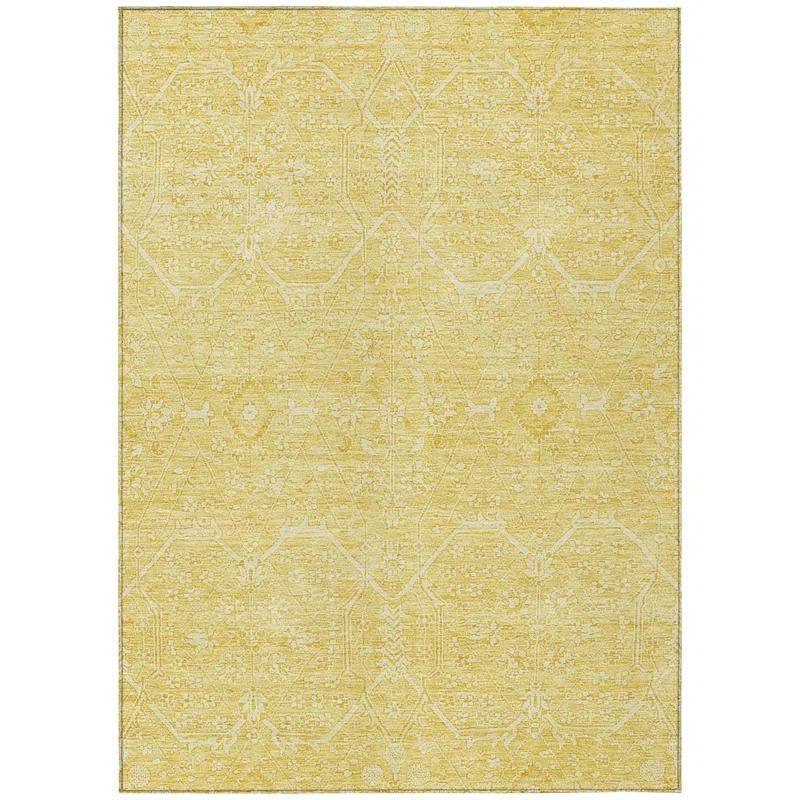 Machine Washable Indoor/Outdoor Claudian ACN1224 Gold Rug