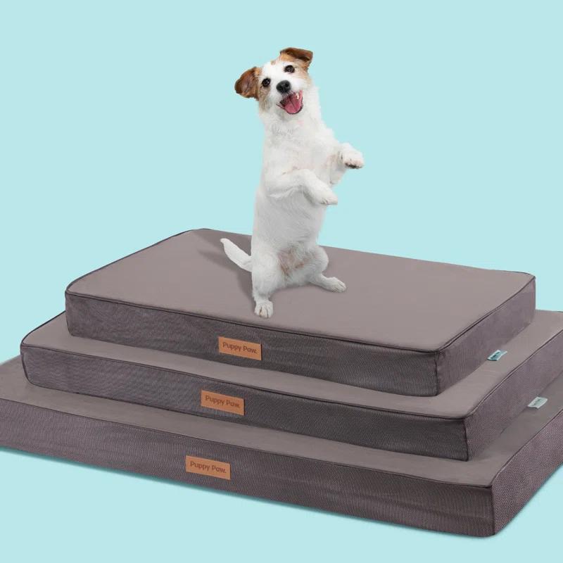 Puppy Paw Orthopedic Polyester Pet Bed