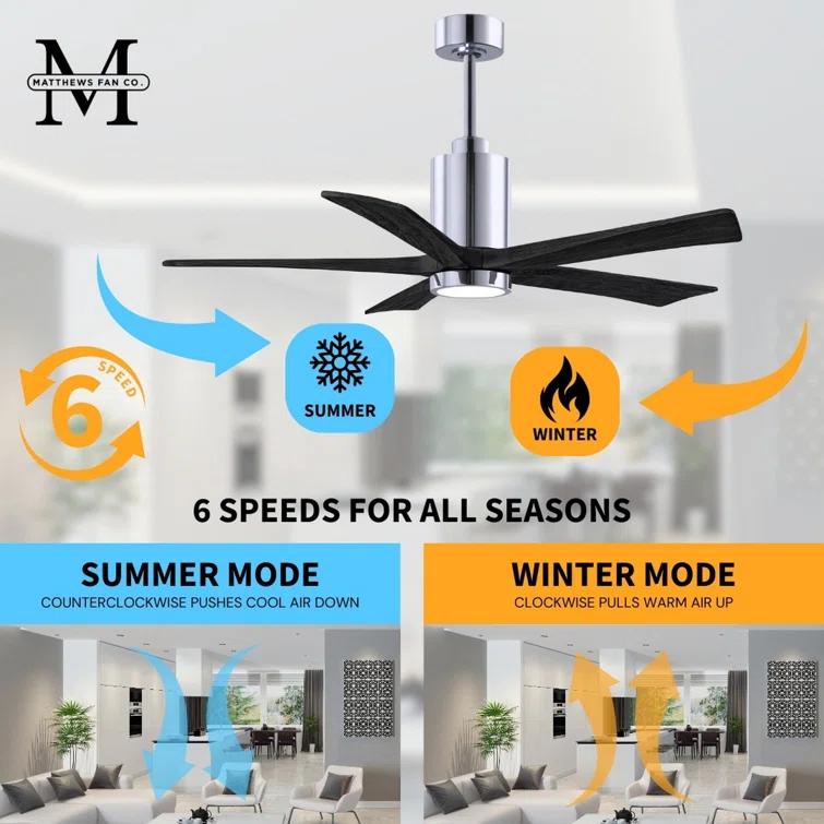 Matthews Fan Company Patricia 52'' Ceiling Fan with LED Lights