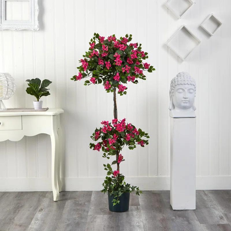 Primrue 5ft. Mini Bougainvillea Topiary
