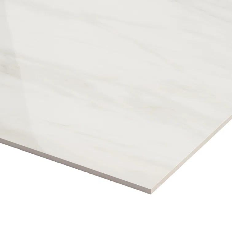 24" x 24" Polished Marble Look Porcelain Floor and Wall Tile (15.5 Sq. Ft. / Case)