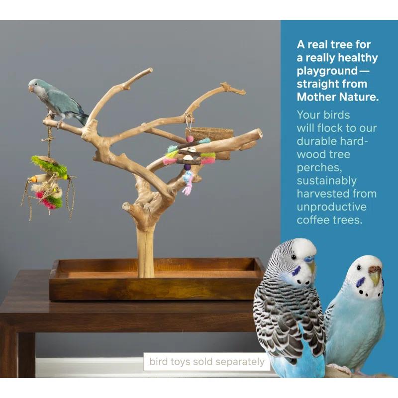 Tucker Murphy Pet™ Freeport One-of-a-Kind 22.5'' Wood Bird Play Stand for Table Top