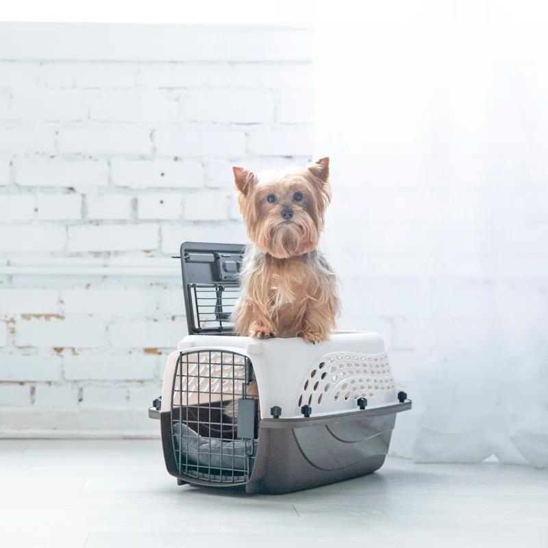 Petmate Plastic Pet Carrier with 1 Door