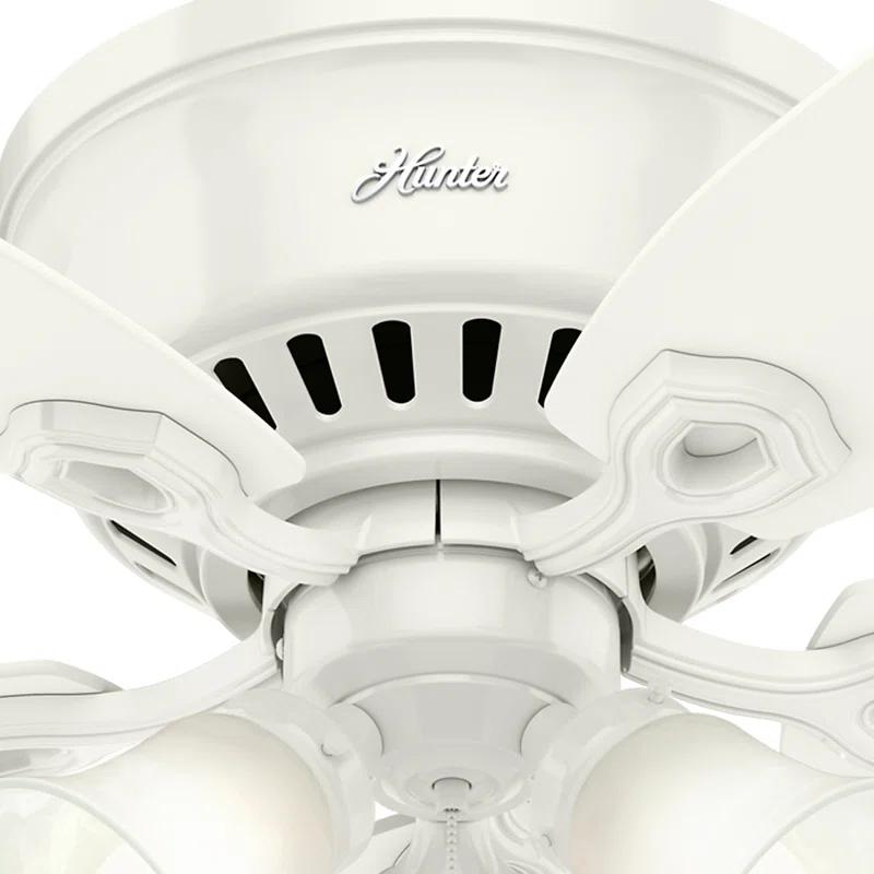 Builder Low Profile 52" 5 - Blade Flush Mount Ceiling Fan with Lights and Pull Chains