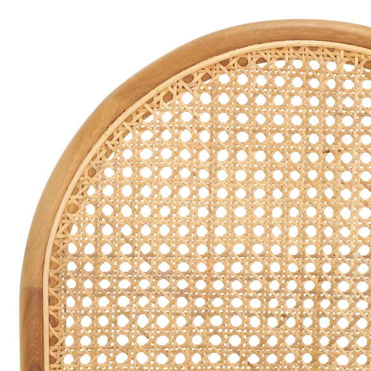 Safavieh Couture Laylie Leather Upholstered Dining Chair | Perigold